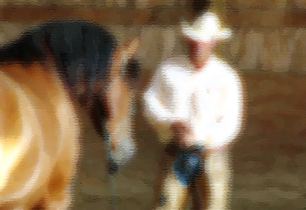 Anchor R Ranch Equine Clinics