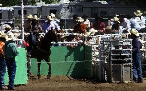 Anchor R Ranch Website Links