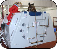Saltwater Hydrotherapy