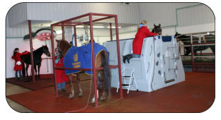 Rehabilitation & Fitness