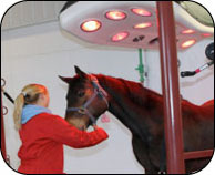 Solarium