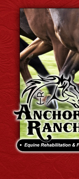 Anchor R Ranch Equine Rehabilitation and Fitness