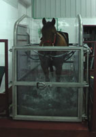 Anchor R Equine Wellness