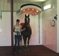 Anchor R Equine Solarium