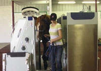 Anchor R Ranch Equine Spa