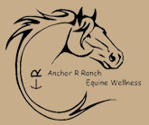 Anchor R Ranch Equine Wellness
