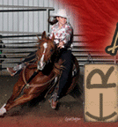 Anchor R Ranch Equine Wellness