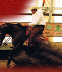 Barrel Racing and Reining Horses